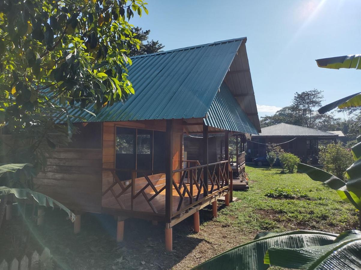 Quirquincho House Lodge Puerto Maldonado Eksteriør billede