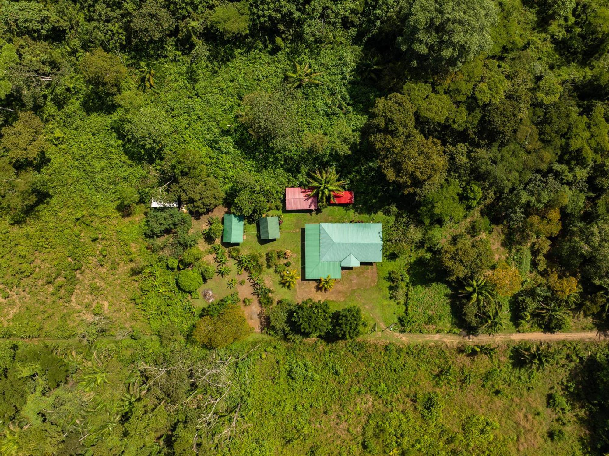 Quirquincho House Lodge Puerto Maldonado Eksteriør billede