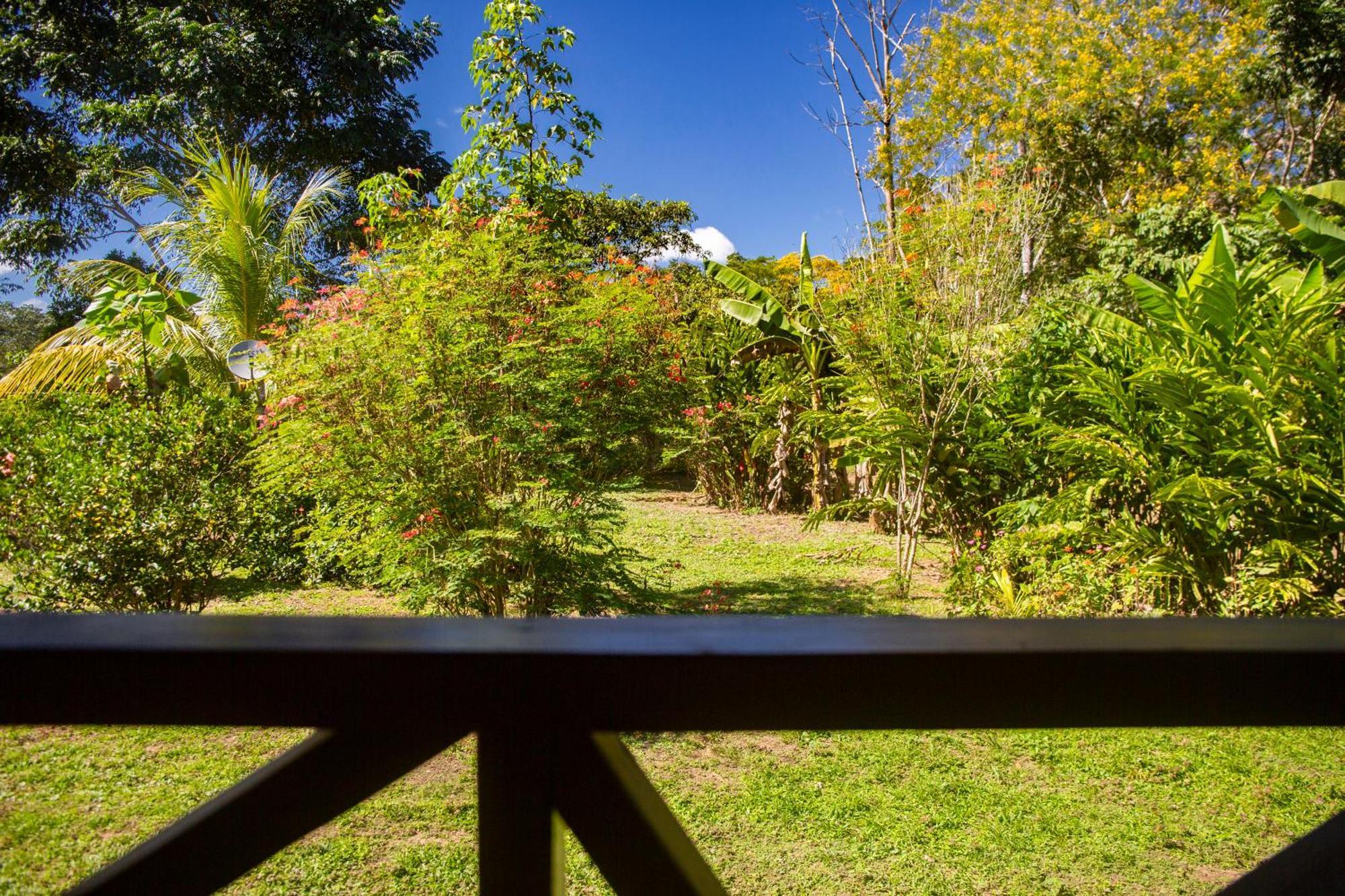 Quirquincho House Lodge Puerto Maldonado Eksteriør billede